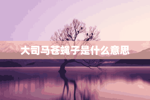 大司马苍蝇子是什么意思(大司马大虫子)